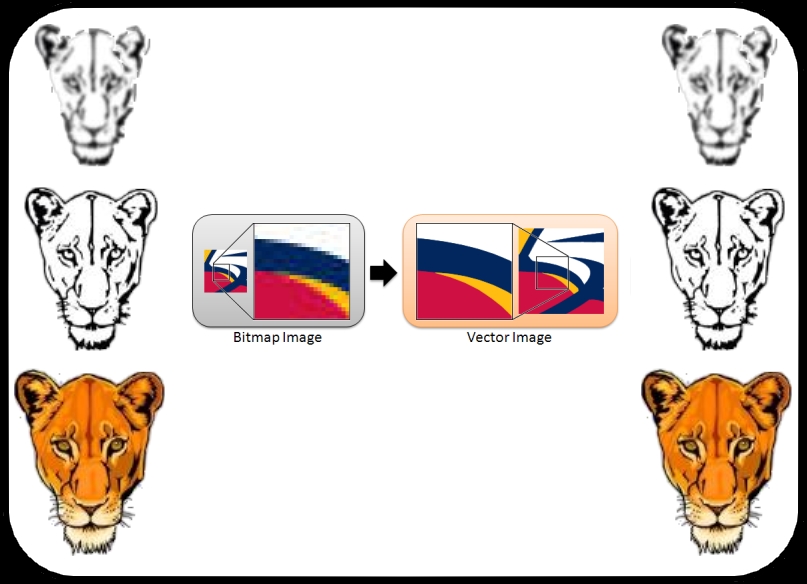 image brut (avant) à image vectorisé (après)